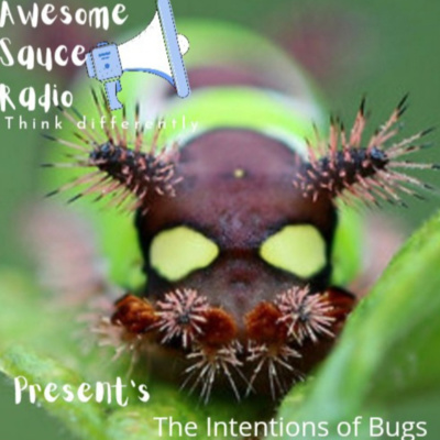 The Intentions of Bugs