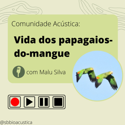 A vida dos Papagaios-do-mangue