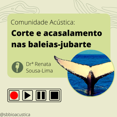 Currently playing episode