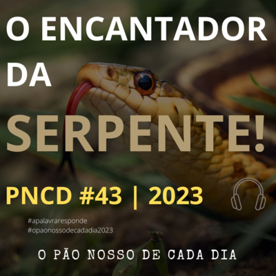 A PALAVRA RESPONDE
