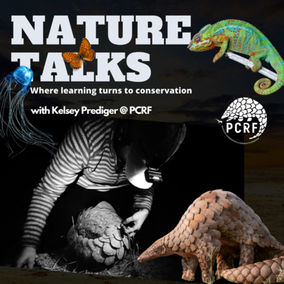 Kelsey Prediger: Hidden Lives of Pangolins