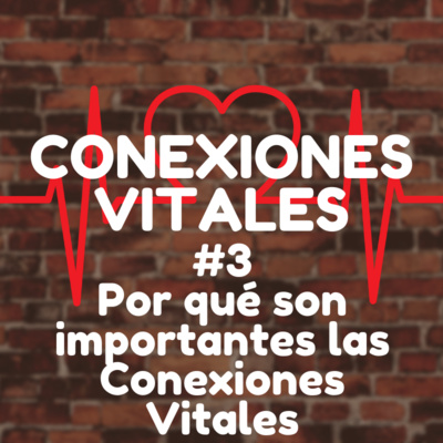 #3 - Por Que Son Importantes Las Conexiones Vitales