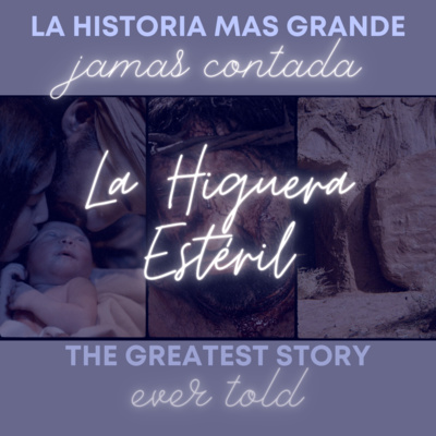 #31 - La Higuera Estéril