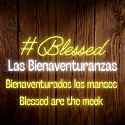 #3 - Bienaventurados los mansos