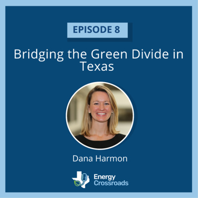 Bridging the Green Divide in Texas