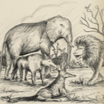 Currently playing episode