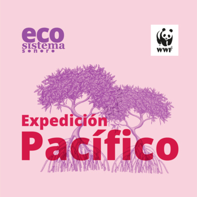 Episodio 5: Expedición pacífico una inmersión de los sentidos