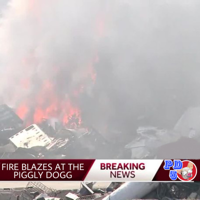 Breaking News! Explosion @ Piggly Dogg 