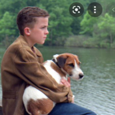A Visual Analysis of movie: My Dog Skip