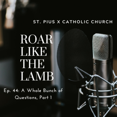 Episode 44: A Whole Bunch of Questions, Part 1