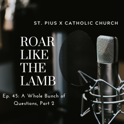 Episode 45: A Whole Bunch of Questions, Part 2