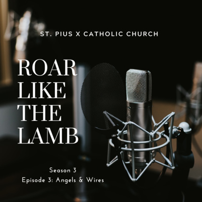 3.3: Angels and Wires