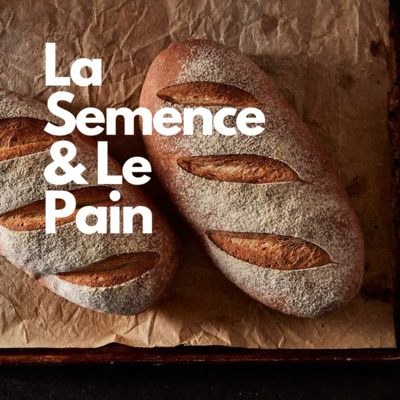 La Semence & Le Pain - Partage Apostolique, Ep. 13 La Semence & Le Pain - Partage Apostolique, Ep. 13