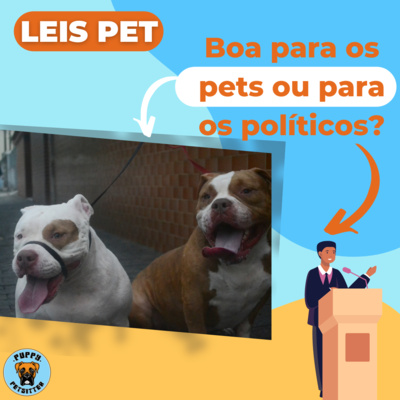 Ep. 005 - Leis Pet - Boa para os pets ou para os políticos episode artwork