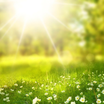 Living in the Sunlight - Manifesting and Letting Go