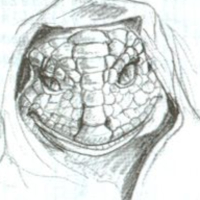 The Lacerta File I The Lacerta File I