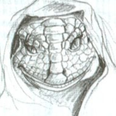 The Lacerta File II The Lacerta File II