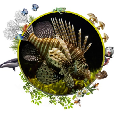 Ecologia ao Pé do Ouvido