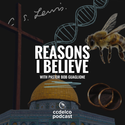 S2E1: Reasons I Believe #1 — The Honeybee episode artwork
