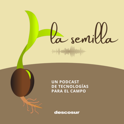 Radio descosur