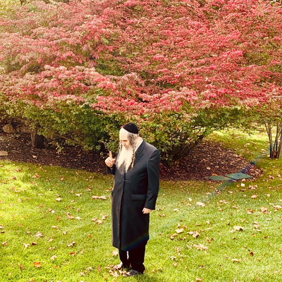 Garden of Blessings - Rav Shalom Arush - Emuna Tour 2021 - Share the Love!‏‏ episode artwork