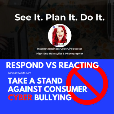 How To Respond Versus Reacting To Consumer Cyber Bullying Tips by Ann Marie Walts Internet Marketing Coach & High-End Stylist 