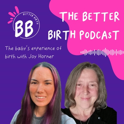 S9 Ep 6 - the baby's experience of birth with Joy Horner