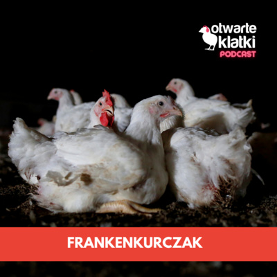 Otwarte Klatki Podcast