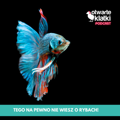 Otwarte Klatki Podcast