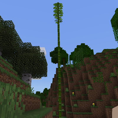 Minecraft project part 9+Subway surfer