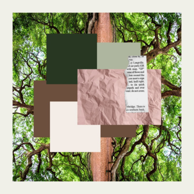 Al rescate de narradoras y dramaturgas. Al rescate de narradoras y dramaturgas.