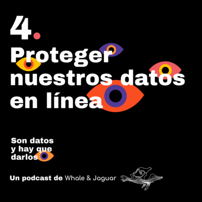 Cómo proteger nuestros datos en línea