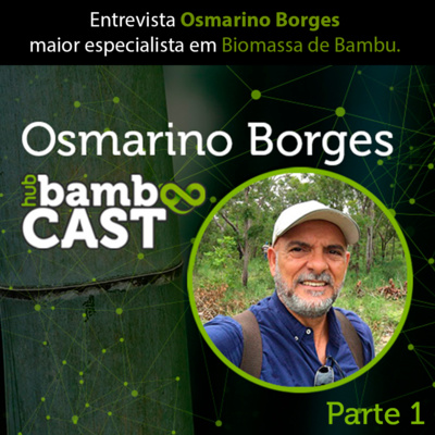 Entrevista com Osmarino Borges, especialista em produção de biomassa de bambu. Parte 1