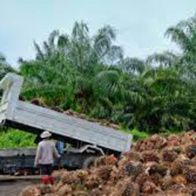 Mujeres por los derechos de la Amazonía