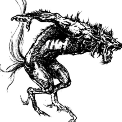 Spiritual Insight with Darren Bucare Forest Creatures of Legend