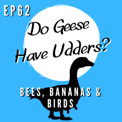 Episode 62 - Bees, Bananas & Birds