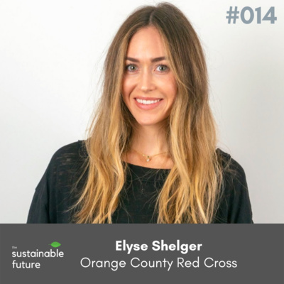 The Sustainable Future