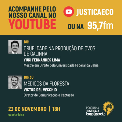 Direito Animal e Médicos da Floresta