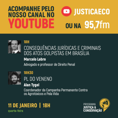 Consequências jurídicas e criminais dos atos em Brasília e PL do Veneno