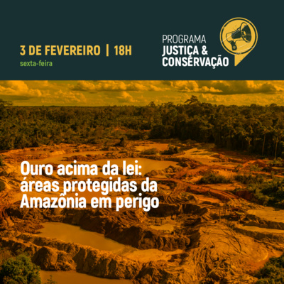 Ouro acima da lei: áreas protegidas da Amazônia em perigo