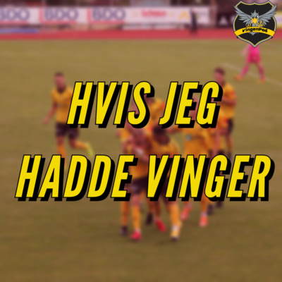 VingenPod