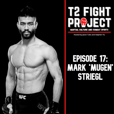 T2 Fight Project