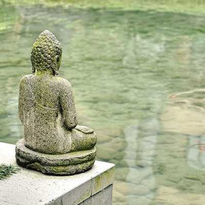 De stille woudvijver