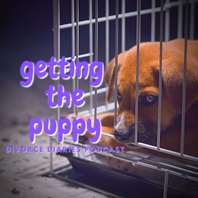 RR100 buy the dog or not? my ears work he says shes not all in thats ok HUSBANDS LISTEN WHEN SHES HONEST