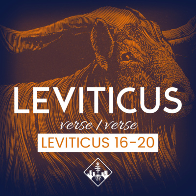 Leviticus 16-20