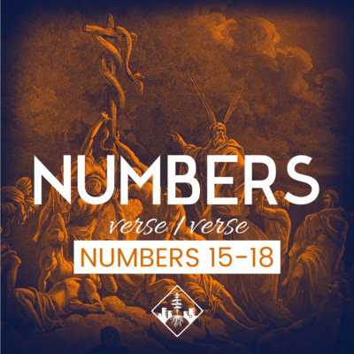 Numbers 15-18