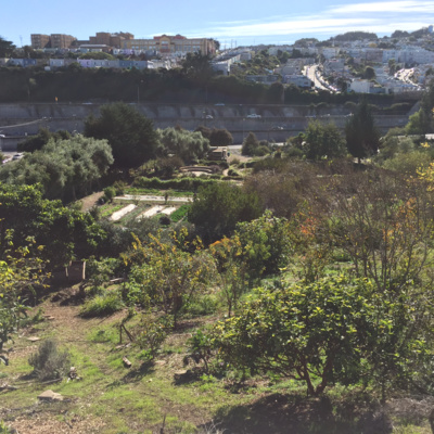 Ep 20: Alemany Farm - San Francisco’s Largest Urban Farm