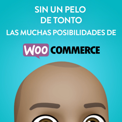 Las muchas posibilidades de WooCommerce Las muchas posibilidades de WooCommerce