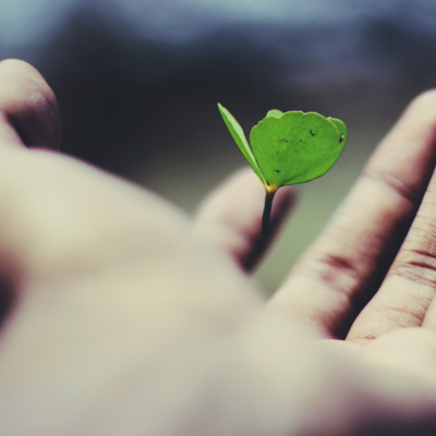 Ep.22 - Le droit à la vie