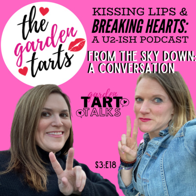 TART Talk - From the Sky Down: A Conversation